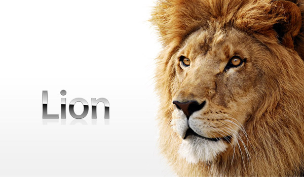 lion1110224140813.jpeg