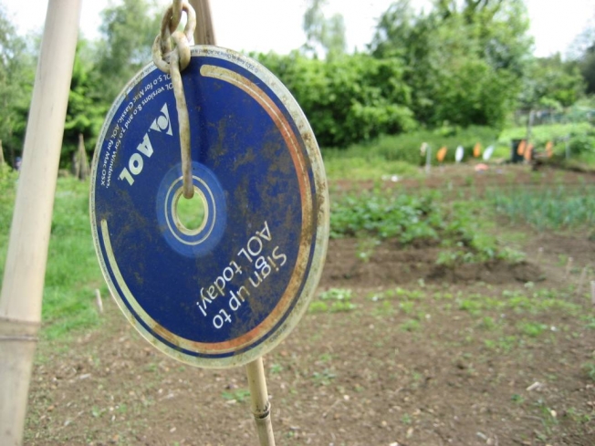 AOL CD AOL Dial Up